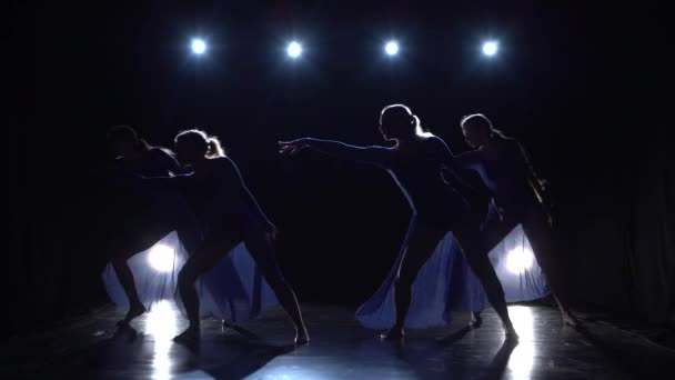 Ballerinas tańczą elementy nowoczesnego baletu — Wideo stockowe