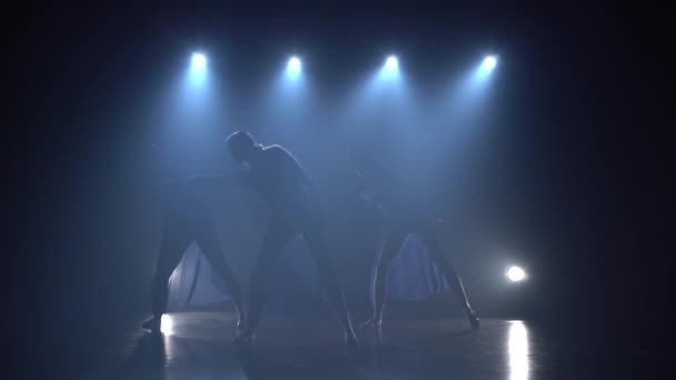 Νέοι μπαλαρίνες χορεύουν σε ομίχλη του στούντιο. — Αρχείο Βίντεο