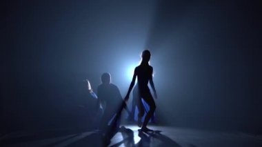 Modern balenin dans unsurları profesyonel balerinüç siluetleri.