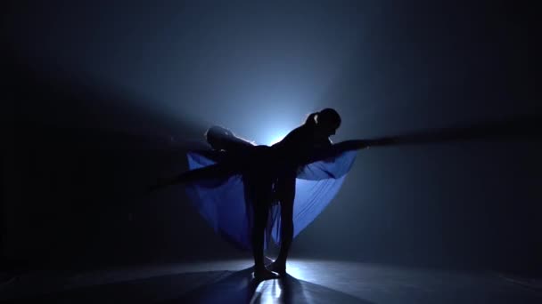 Силуети професійних балеринів танцюючих елементів сучасного балету — стокове відео