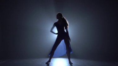 Profesyonel zarif balerin modern bir balenin unsurları dans ediyor.