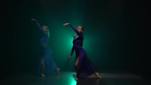 Las hembras con hermosas figuras son elementos de baile del ballet moderno — Vídeo de stock