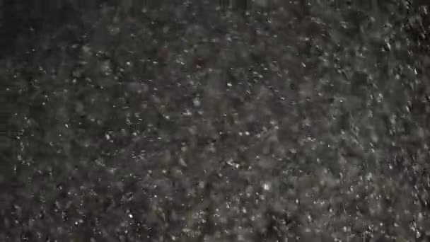 Zwevende witte stofdeeltjes zijn glinsterend op een zwarte achtergrond. — Stockvideo