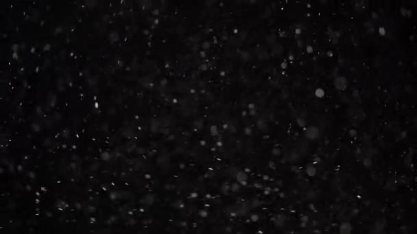 Schwimmende transparente Staubpartikel leuchten auf schwarzem Hintergrund. — Stockvideo