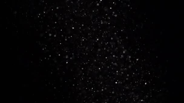 De petites particules de poussière flottantes brillent sur un fond noir .