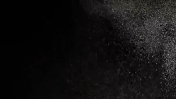 Des taches naturelles flottantes de poussière brillent sur fond noir .