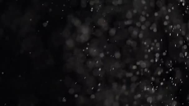 Des taches de poussière transparentes flottantes brillent sur fond noir .