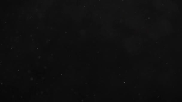 Des taches blanches flottantes de poussière scintillent sur fond noir .