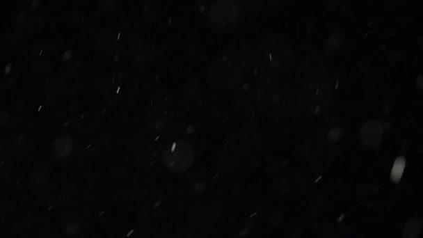 Des petites particules de poussière flottantes scintillent sur fond noir .