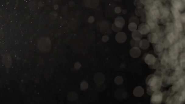 Motes brancos flutuantes estão brilhando em um fundo de estúdio preto . — Vídeo de Stock