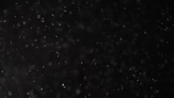Drijvende natuurlijke Motes zijn glinsterend op een zwarte studio achtergrond. — Stockvideo