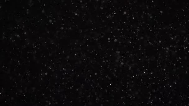 Pequeñas motas flotantes brillan sobre un fondo de estudio negro . — Vídeo de stock