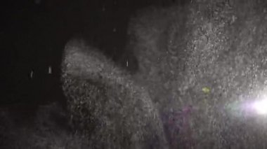 Yüzen organik toz bunnies siyah bir arka plan üzerinde parıldayan vardır.