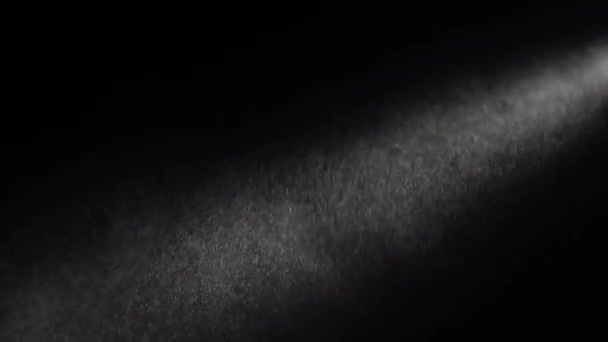 Парящая органическая пыль мерцает на фоне черной студии . — стоковое видео