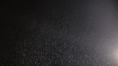 Yüzen organik küçük parçacıklar siyah bir arka plan üzerinde parıldayan.