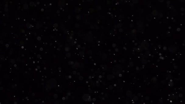 Microscopic dust pieces falling from top to bottom. Slow motion — Stock Video