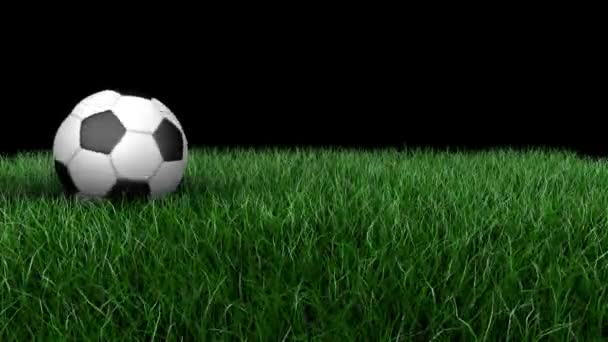 3D-animering, klassisk fotbolls boll rullande över ett grönt fält. — Stockvideo