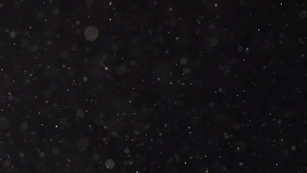 Microscopic pieces of dust soaring independently from each other. Slow motion — Stock Video