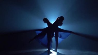 Stüdyoda büyük spot karşı dans balerinyavaş hareket.
