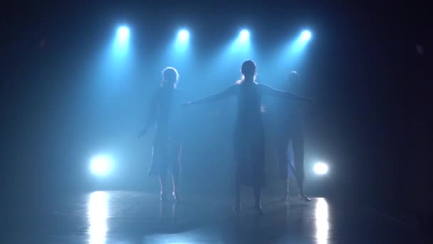 Медленное движение силуэтов великолепных балерин, танцующих современный балет . — стоковое видео