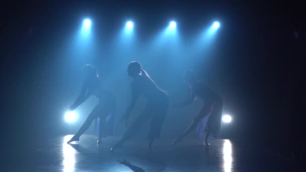Érzéki táncosok nőstények táncolnak reflektorfényen a stúdióban. Lassított mozgás — Stock videók