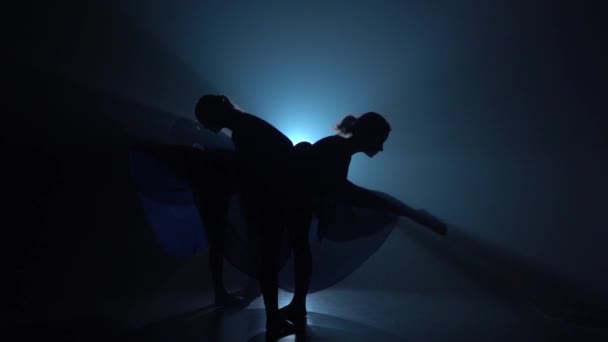 Slow Motion van silhouetten prachtige ballerina's dansen moderne Ballet. — Stockvideo