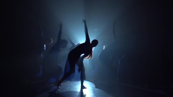 Slow Motion van een sierlijke professionele ballerina's dansen moderne Ballet. — Stockvideo