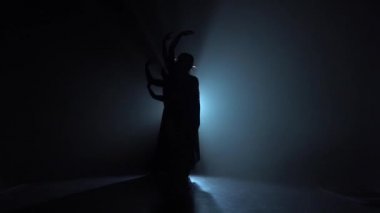 Zarif dansçılar kadın modern bale gösterir. Yavaş hareket