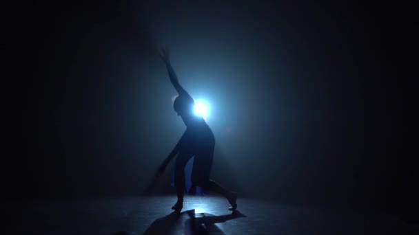 专业芭蕾舞手在聚光灯下的演播室跳舞。慢动作 — 图库视频影像