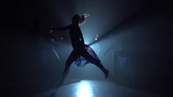 Mooie vrouwen ballerina's springen loopt in de cirkel. Slow Motion — Stockvideo