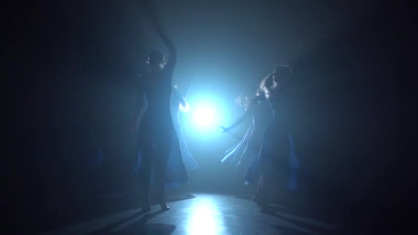 Bailarines de ballet diligentes que interpretan elementos de baile del ballet moderno. Movimiento lento . — Vídeos de Stock
