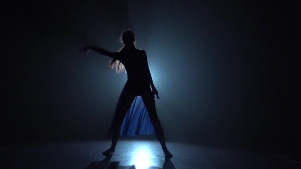 Silhouette de ballerine dansant ballet moderne. Mouvement lent — Video