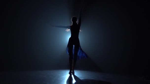 Chica bailarina elegante muestra ballet moderno. Movimiento lento — Vídeo de stock