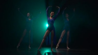 Çalışkan bale dansçıları modern balenin dans unsurlarını sergiliyorlar. Yavaş çekim.