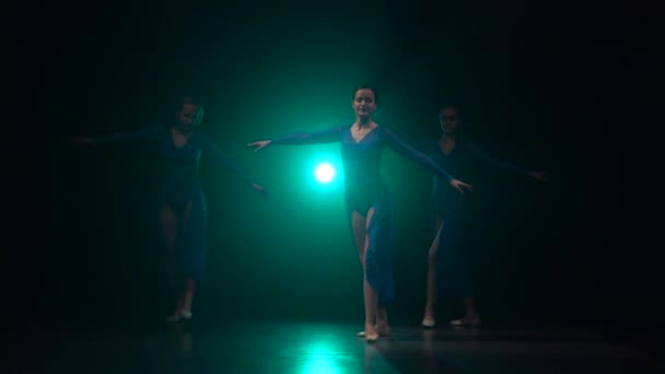Медленное движение великолепных балерин, танцующих современный балет . — стоковое видео
