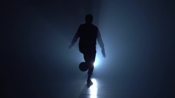Το ποδόσφαιρο ελεύθερο. Σιλουέτα παίκτη του ποδοσφαίρου που γεμίζει μπάλα στα πόδια και στέκεται πλάγια. Αργή κίνηση — Αρχείο Βίντεο