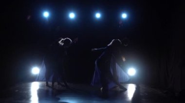 Çalışkan bale dansçıları modern balenin dans unsurlarını sergiliyorlar. Yavaş çekim.