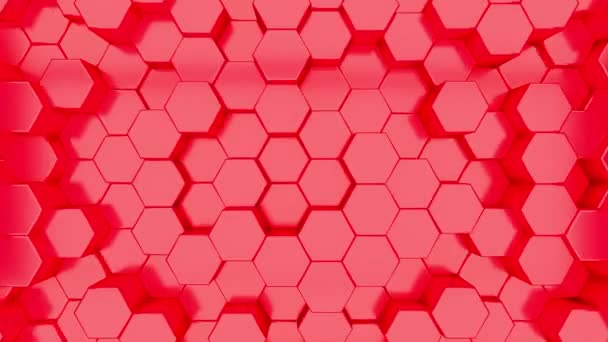 3D animation of a red hexagons rising up and down. — Stock Video