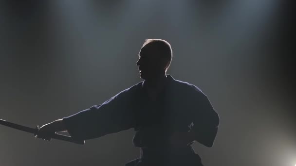 Mestre Kendo proficiente praticando arte marcial com a espada Katana. Movimento lento — Vídeo de Stock
