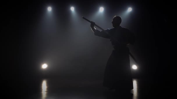 Hábil mestre Kendo praticando arte marcial com a espada Katana, câmera lenta . — Vídeo de Stock