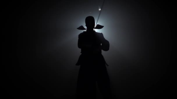 Silhouette Kendo Instructor is het beoefenen van Martial Art met de katana zwaard. Slow Motion. — Stockvideo