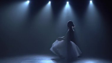 Klasik balenin beyaz tutu dans unsurları balerin.