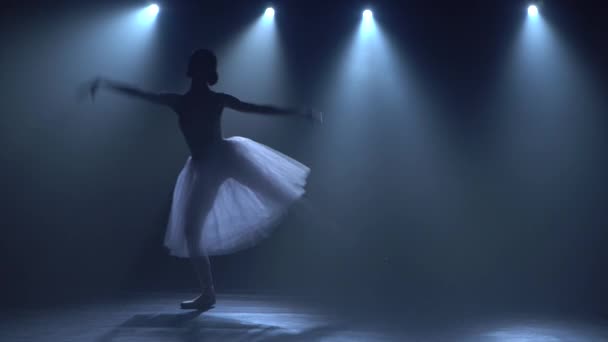 Beautiful ballerina in white tutu dancing elements of classical ballet. — Stock Video