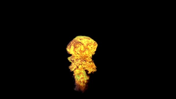 Die Explosion einer Atombombe. Realistische 3D-Animation einer Bombenexplosion mit Feuer, Rauch und Pilzwolke vor einem Alpha-Kanal. — Stockvideo