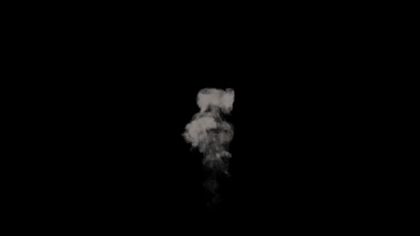 Nükleer bombanın patlaması. Bir Alpha Kanal önünde yangın, duman ve mantar bulutu ile bomba patlama Gerçekçi 3d animasyon. — Stok video