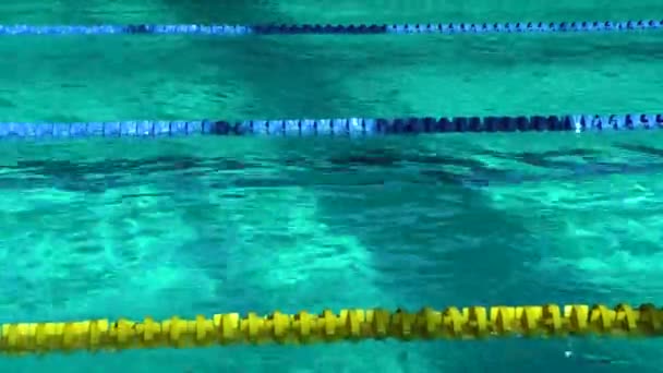 Piscine vide avec eau claire et piste de diviseurs pour la baignade. Eau bleue dans la piscine — Video