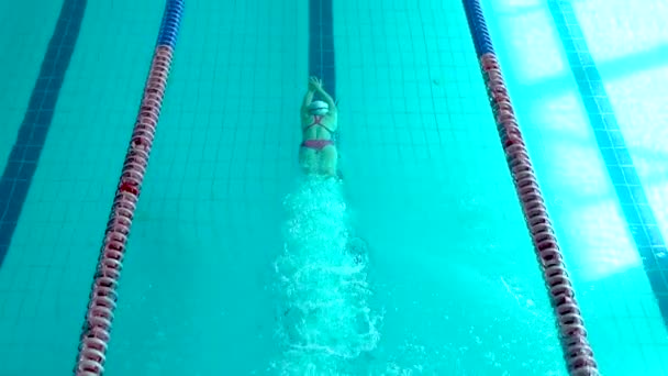 Menina nadadora mergulhar na piscina. A nadadora mergulha na piscina para um exercício de natação. Vista superior . — Vídeo de Stock