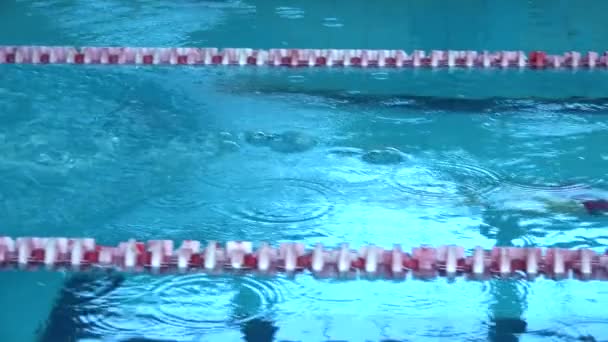 Hombre nadador salta fuera de bloque de partida y empezar a nadar en la piscina HD de cámara lenta de vídeo. Entrenamiento profesional de deportistas: buceo y salpicaduras superficie del agua — Vídeo de stock