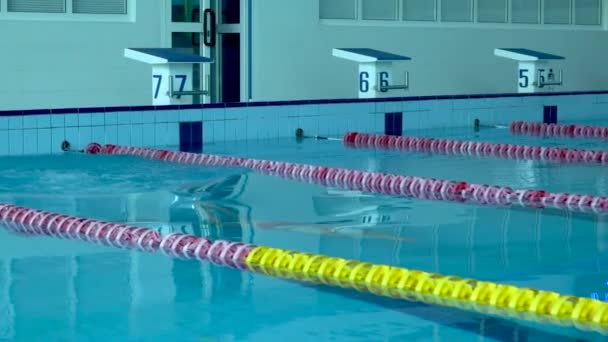 Yüzme havuzunda derin suda zıplayan kadın yüzücü yavaş çekimyapıyor. Kadın profesyonel yüzücü dalış ve mavi suda yüzme — Stok video