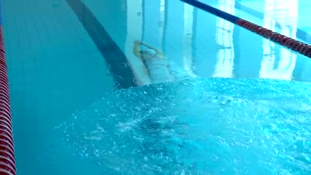 スイミングプールで女の子スイマーダイビング。女性スイマーは水泳の練習のためにスイミングプールでダイビングします。トップビュー. — ストック動画